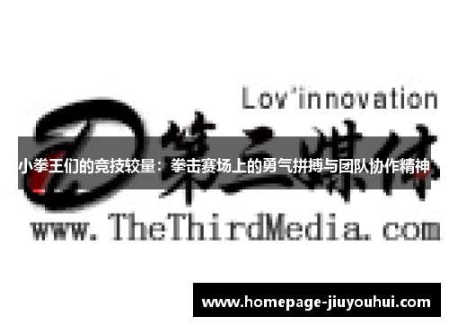 小拳王们的竞技较量：拳击赛场上的勇气拼搏与团队协作精神