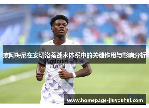 琼阿梅尼在安切洛蒂战术体系中的关键作用与影响分析