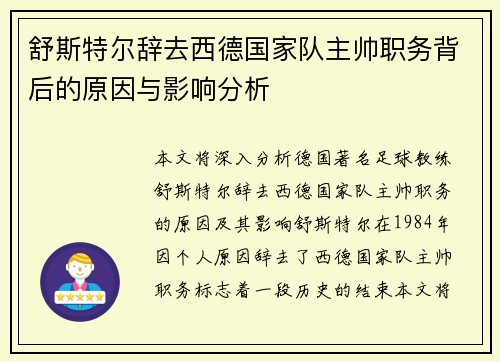舒斯特尔辞去西德国家队主帅职务背后的原因与影响分析